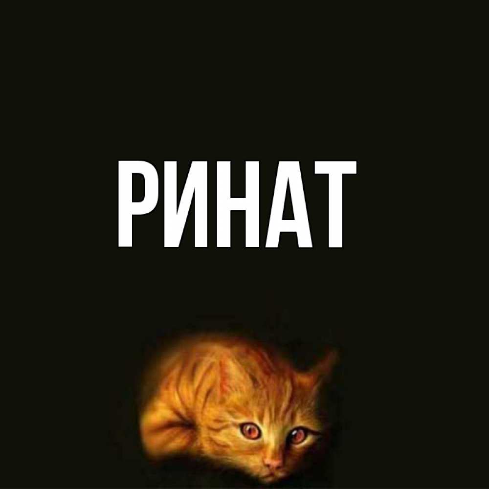 Ренат Или Ринат Татарское Имя