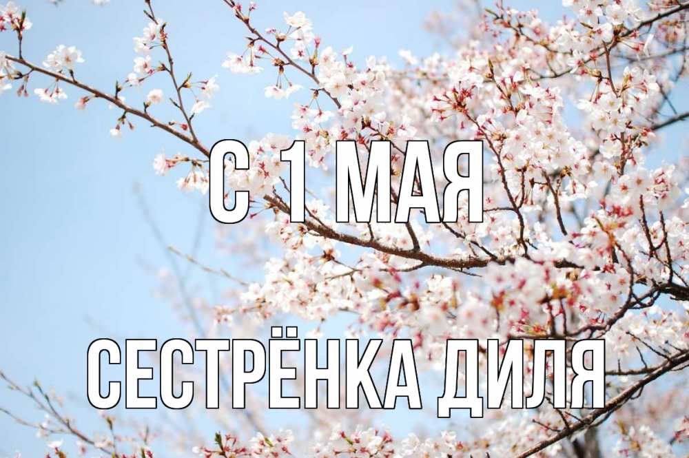 Открытка на каждый день с именем, Сестрёнка-Диля С 1 мая С 1 мая Прикольная открытка с пожеланием онлайн скачать бесплатно 