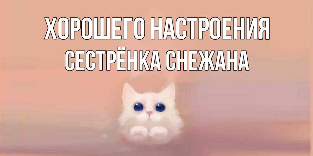 Открытка на каждый день с именем, Сестрёнка-Снежана Хорошего настроения кошка Прикольная открытка с пожеланием онлайн скачать бесплатно 
