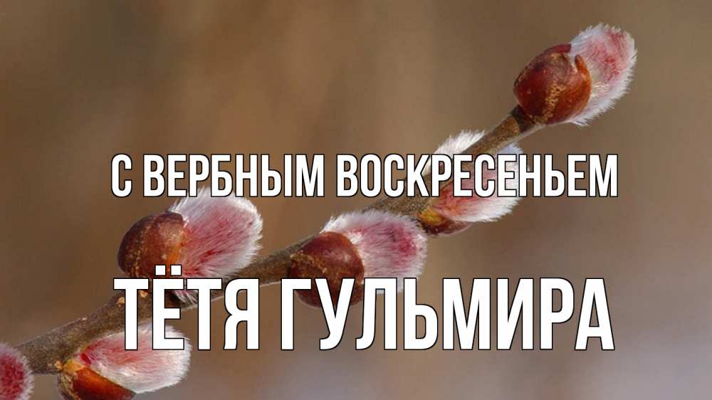 Открытка на каждый день с именем, Тётя-Гульмира С вербным воскресеньем верба Прикольная открытка с пожеланием онлайн скачать бесплатно 