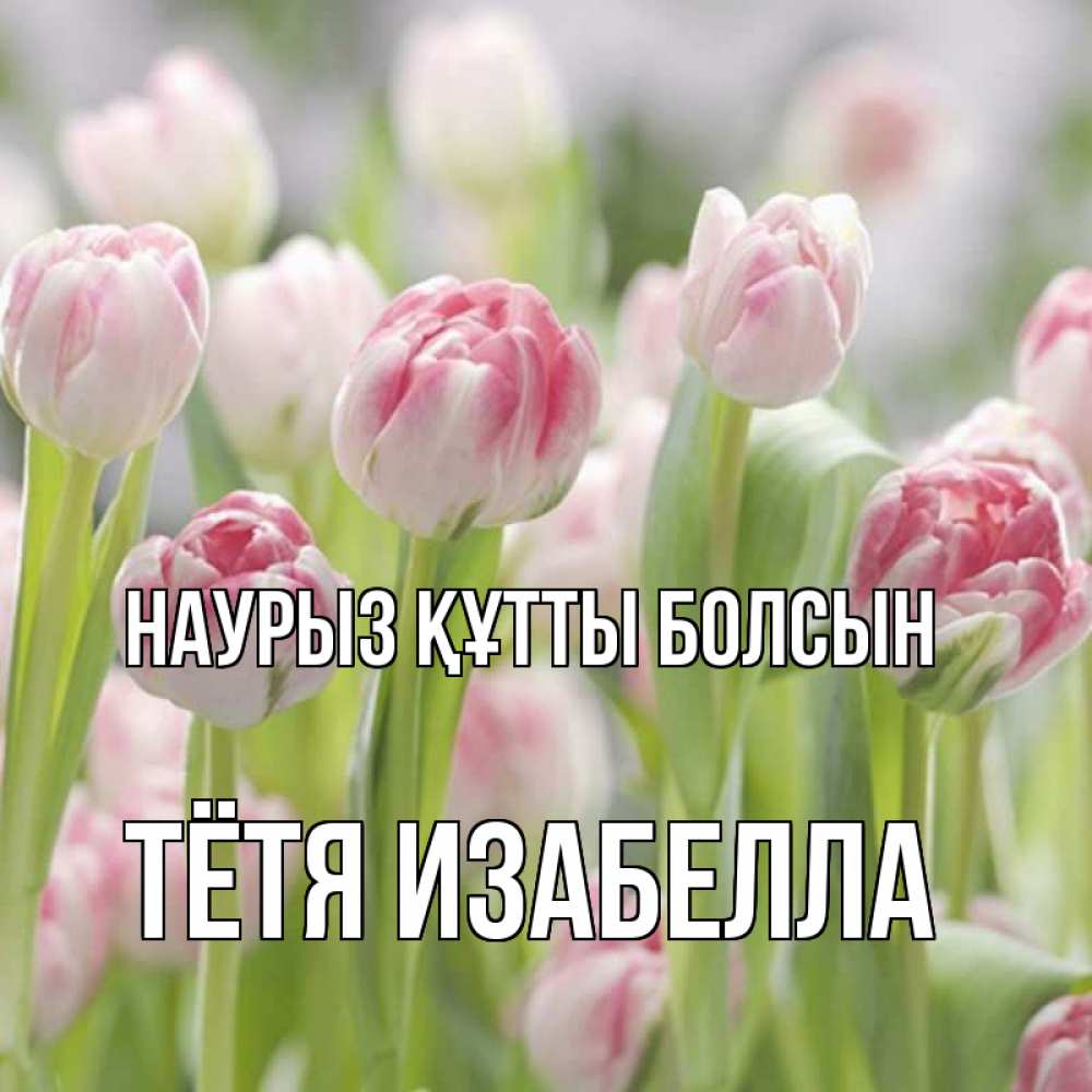 Открытка на каждый день с именем, Тётя-Изабелла Наурыз құтты болсын цветы Прикольная открытка с пожеланием онлайн скачать бесплатно 