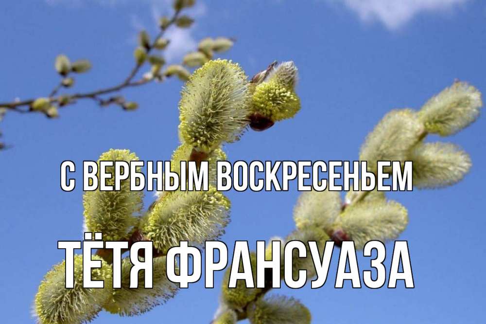 Открытка на каждый день с именем, Тётя-Франсуаза С вербным воскресеньем верба Прикольная открытка с пожеланием онлайн скачать бесплатно 