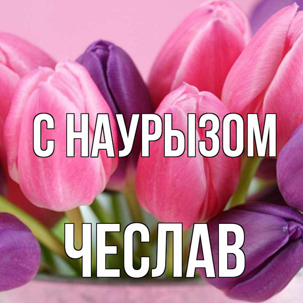 Открытка на каждый день с именем, Чеслав С наурызом маме 1 Прикольная открытка с пожеланием онлайн скачать бесплатно 