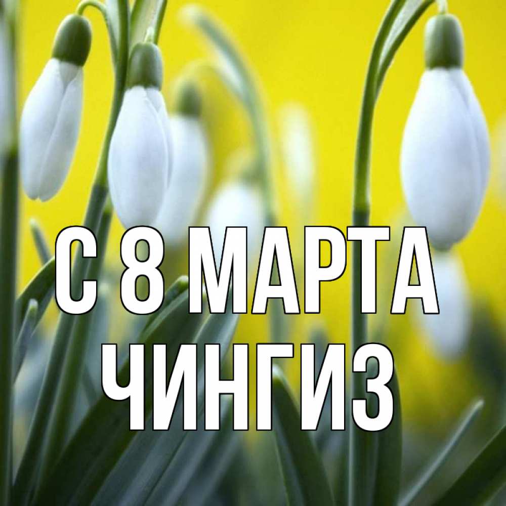 Открытка на каждый день с именем, Чингиз С 8 МАРТА весенние цветы Прикольная открытка с пожеланием онлайн скачать бесплатно 