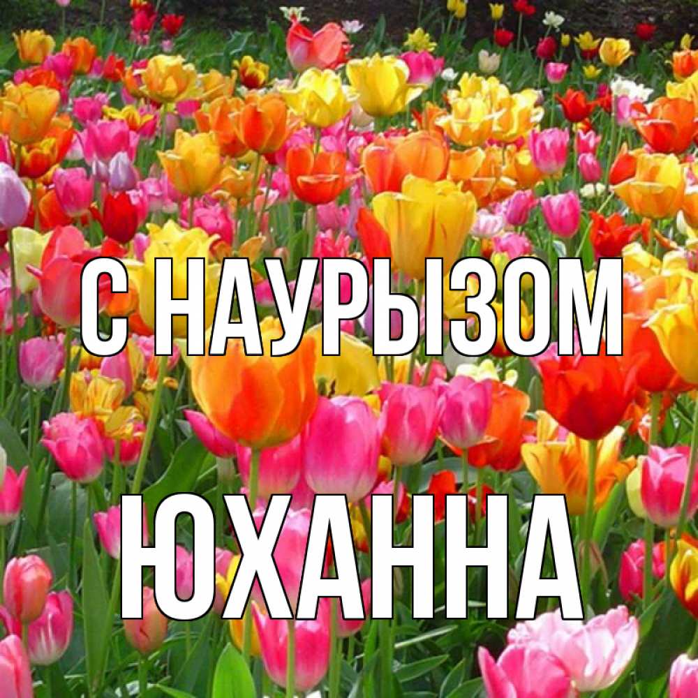 Открытка на каждый день с именем, Юханна С наурызом праздник весны наурыз 4 Прикольная открытка с пожеланием онлайн скачать бесплатно 