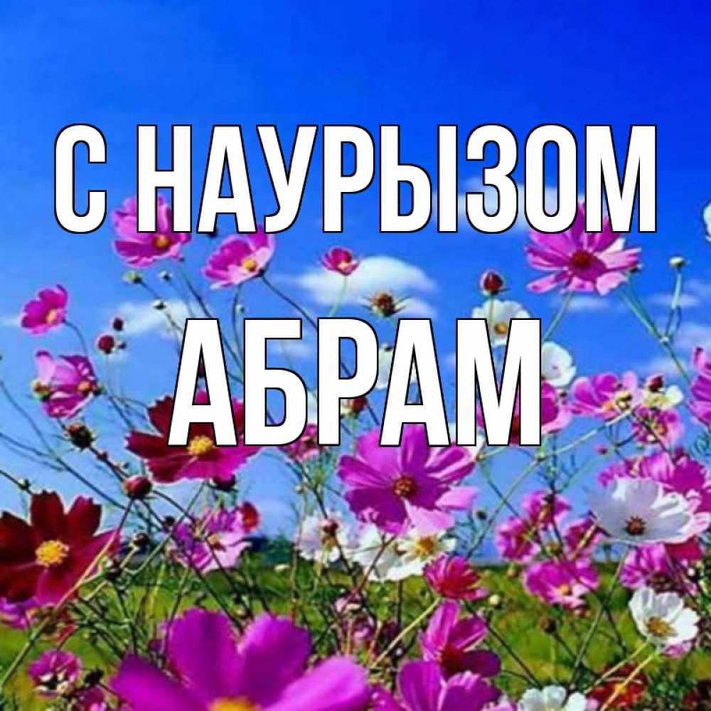 Открытка на каждый день с именем, Абрам С наурызом цветы Прикольная открытка с пожеланием онлайн скачать бесплатно 