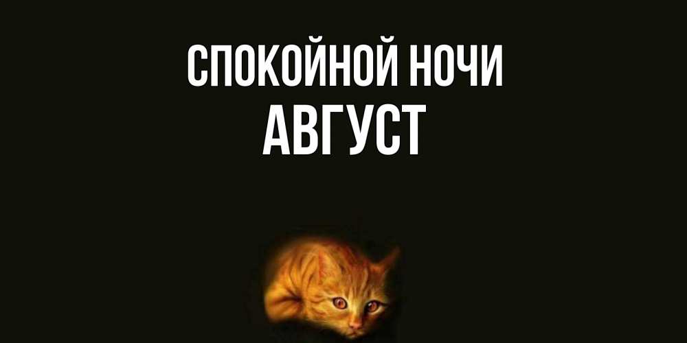 Открытка на каждый день с именем, Август Спокойной ночи кот Прикольная открытка с пожеланием онлайн скачать бесплатно 
