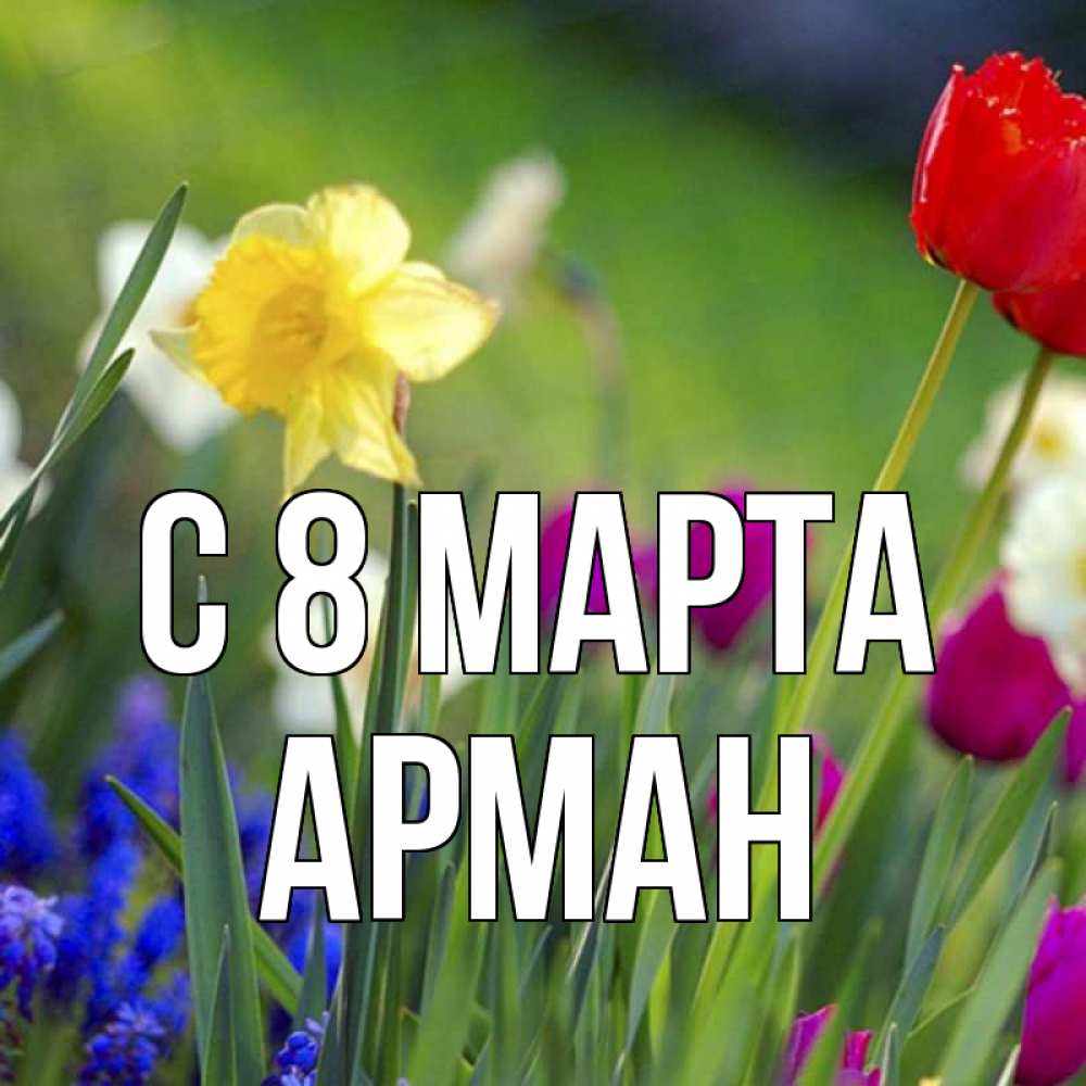 Открытка на каждый день с именем, Арман С 8 МАРТА международный женский день 3 Прикольная открытка с пожеланием онлайн скачать бесплатно 