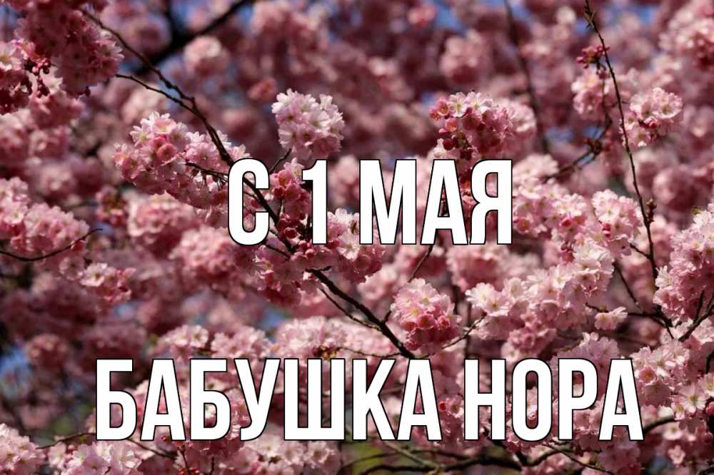 Открытка на каждый день с именем, Бабушка-Нора С 1 мая С 1 мая Прикольная открытка с пожеланием онлайн скачать бесплатно 