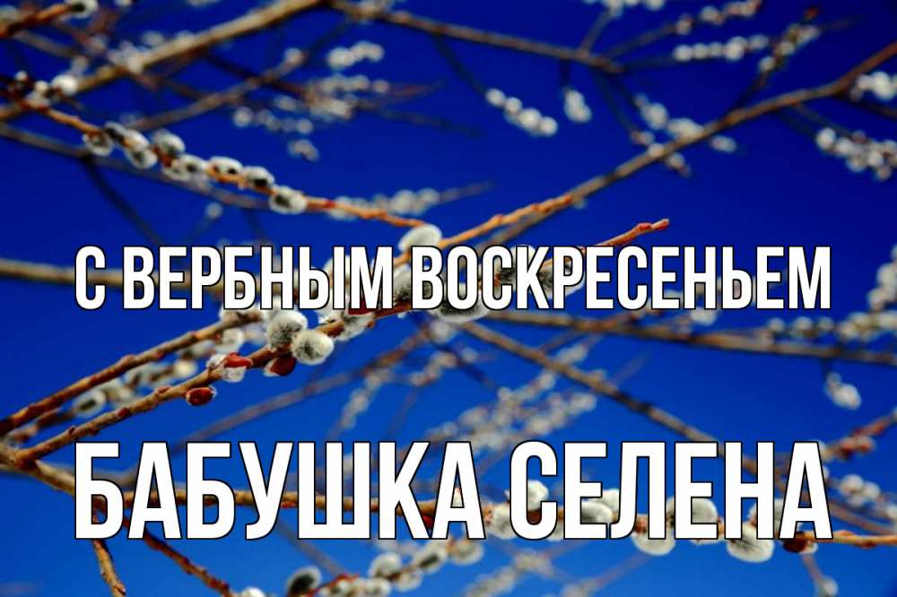 Открытка на каждый день с именем, Бабушка-Селена С вербным воскресеньем верба Прикольная открытка с пожеланием онлайн скачать бесплатно 
