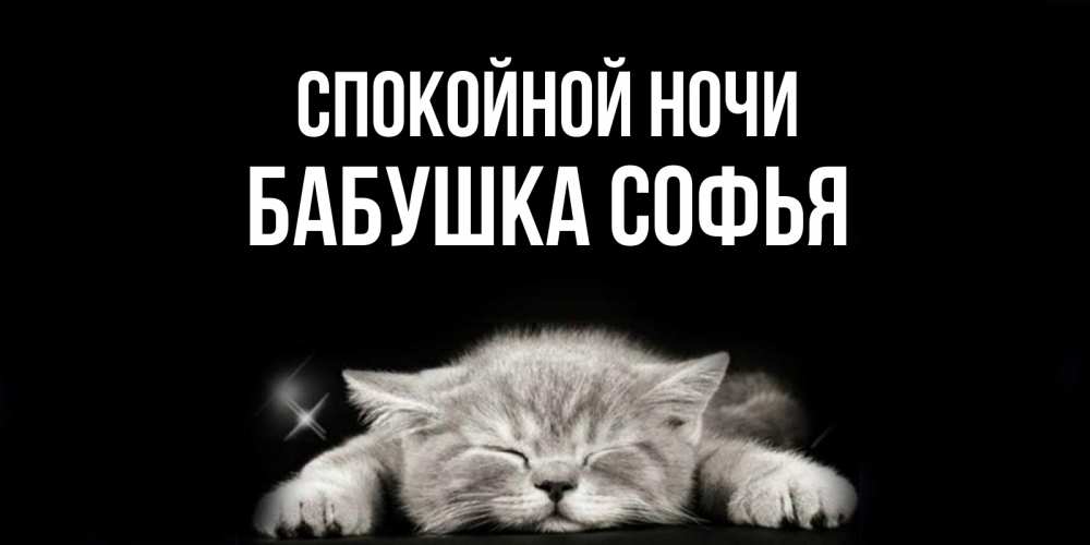 Открытка на каждый день с именем, Бабушка-Софья Спокойной ночи спящий котик Прикольная открытка с пожеланием онлайн скачать бесплатно 