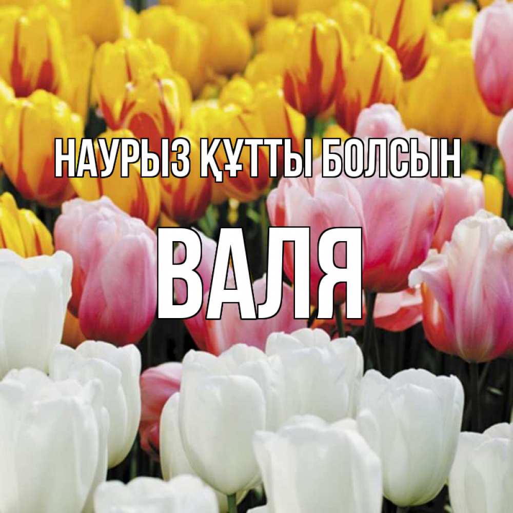 Открытка на каждый день с именем, Валя Наурыз құтты болсын разноцветные цветы Прикольная открытка с пожеланием онлайн скачать бесплатно 