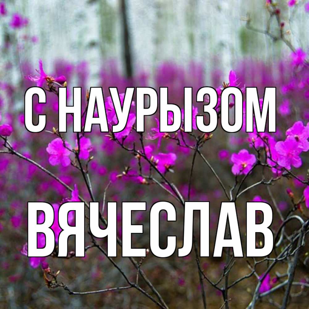 Открытка на каждый день с именем, Вячеслав С наурызом дикие цветы Прикольная открытка с пожеланием онлайн скачать бесплатно 