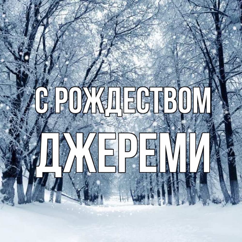 Открытка на каждый день с именем, Джереми С рождеством снег, лес, парк Прикольная открытка с пожеланием онлайн скачать бесплатно 