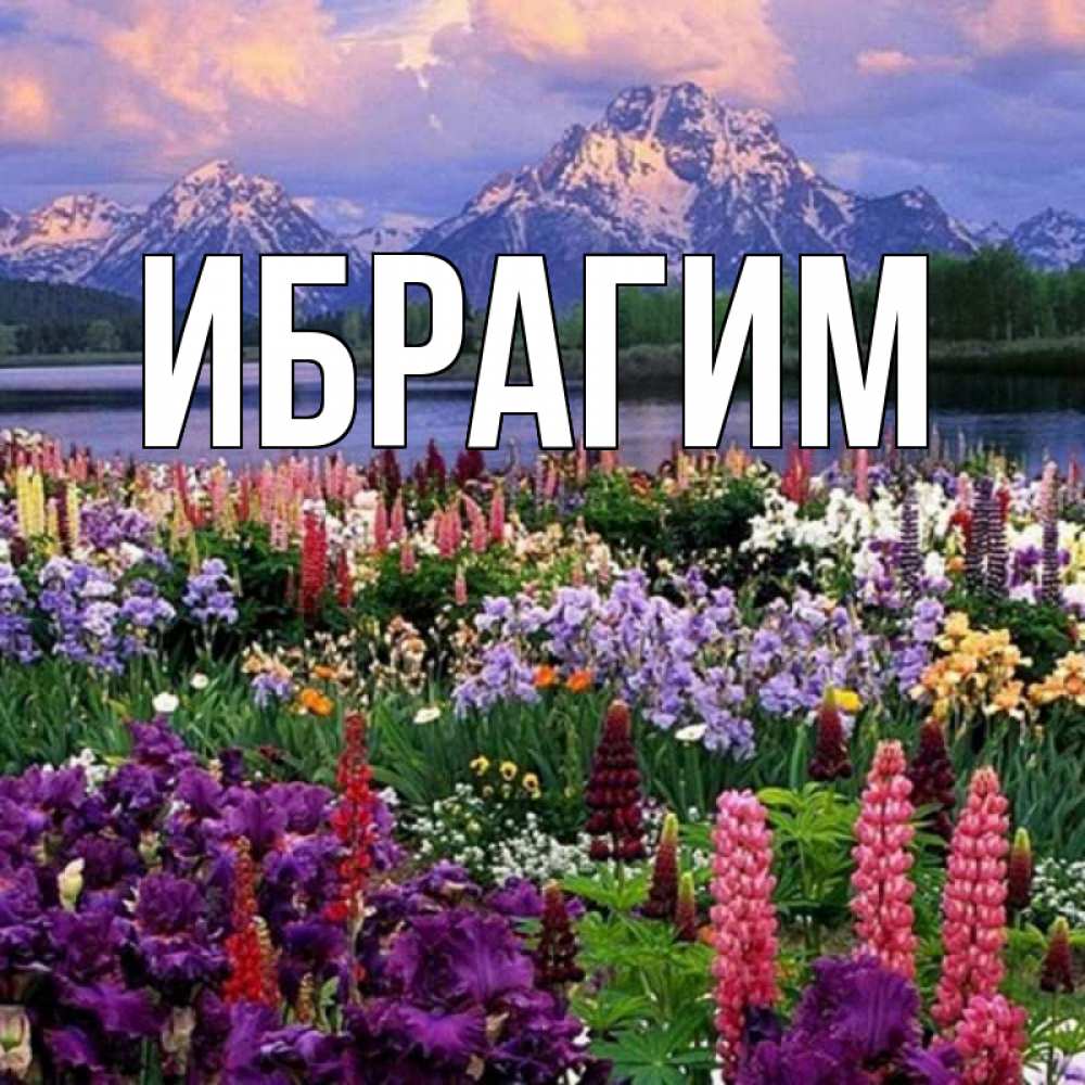 Открытка на каждый день с именем, Ибрагим Главная праздник весны наурыз Прикольная открытка с пожеланием онлайн скачать бесплатно 