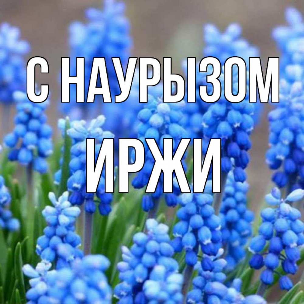 Открытка на каждый день с именем, Иржи С наурызом Поздравительная открытка для женщин с цветами на праздничную дату Прикольная открытка с пожеланием онлайн скачать бесплатно 