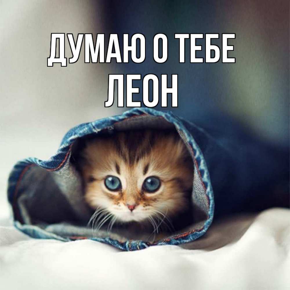 Открытка на каждый день с именем, Леон Думаю о тебе мне без тебя плохо Прикольная открытка с пожеланием онлайн скачать бесплатно 