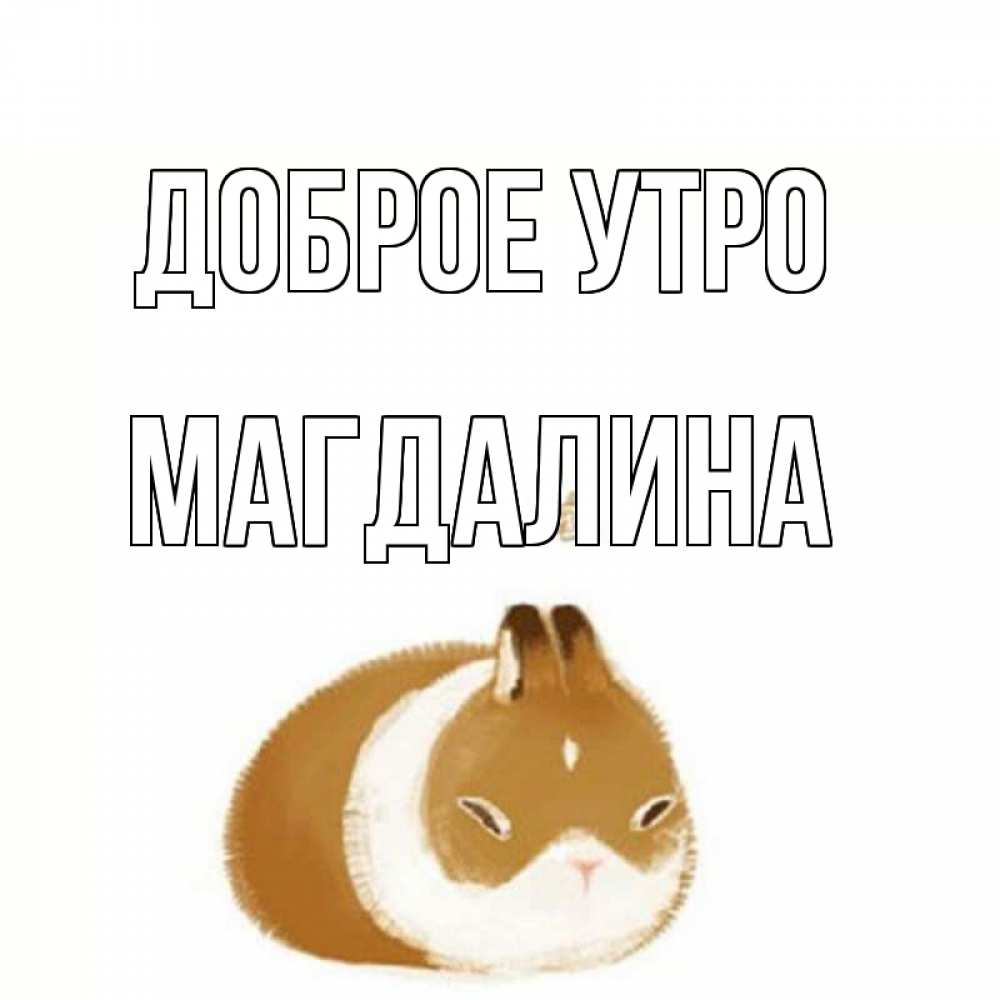 Открытка на каждый день с именем, Магдалина Доброе утро хорошего утречка Прикольная открытка с пожеланием онлайн скачать бесплатно 