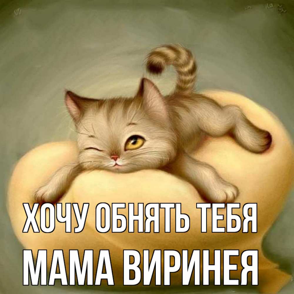 Открытка на каждый день с именем, Мама-Виринея Хочу обнять тебя кошечка Прикольная открытка с пожеланием онлайн скачать бесплатно 