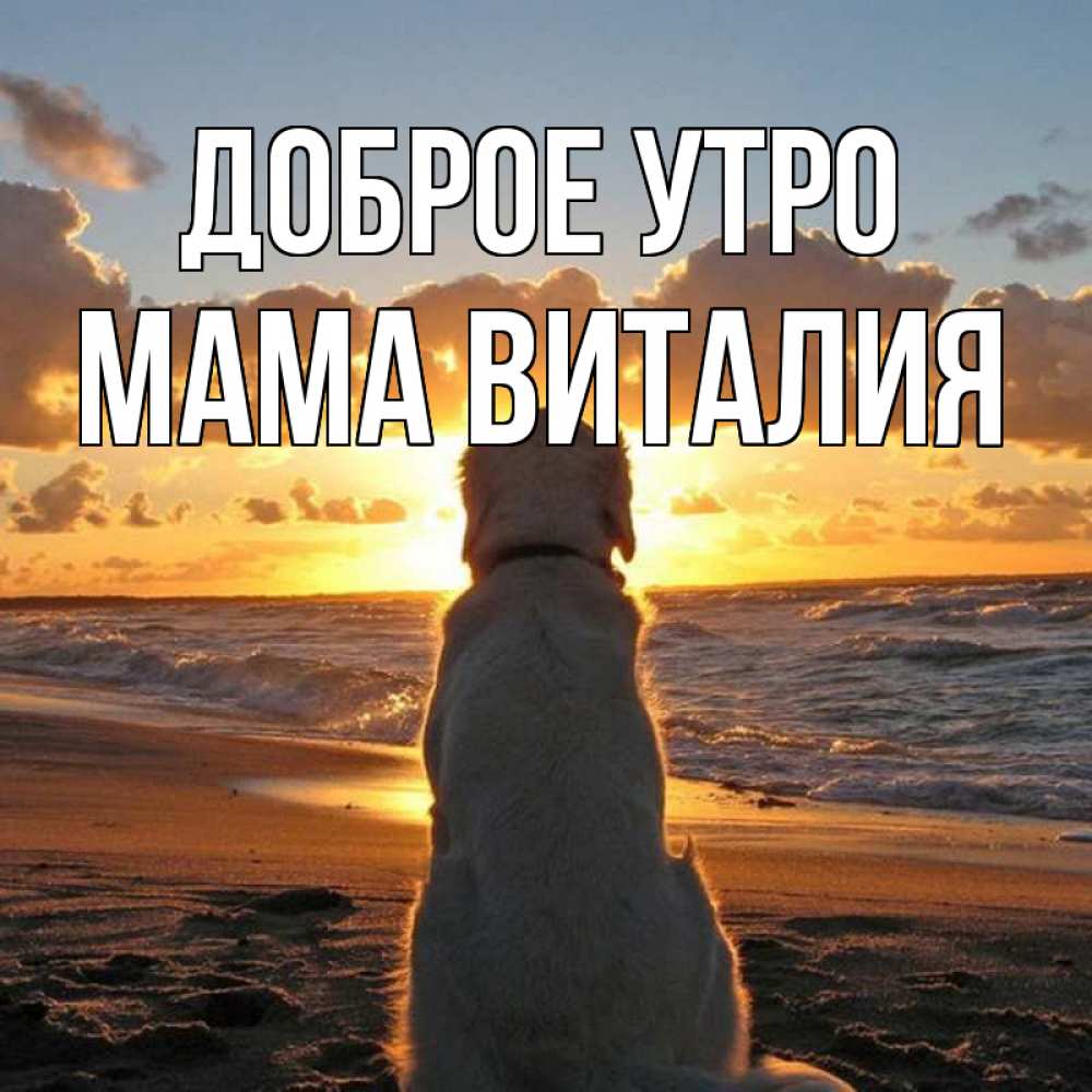 Открытка на каждый день с именем, Мама-Виталия Доброе утро восход солнца Прикольная открытка с пожеланием онлайн скачать бесплатно 