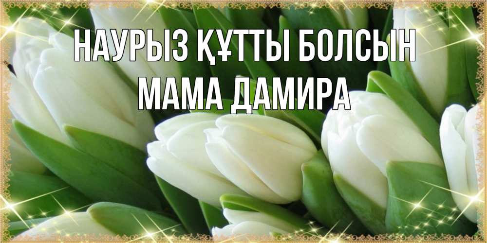 Открытка на каждый день с именем, Мама-Дамира Наурыз құтты болсын поздравляем с наурызом Прикольная открытка с пожеланием онлайн скачать бесплатно 