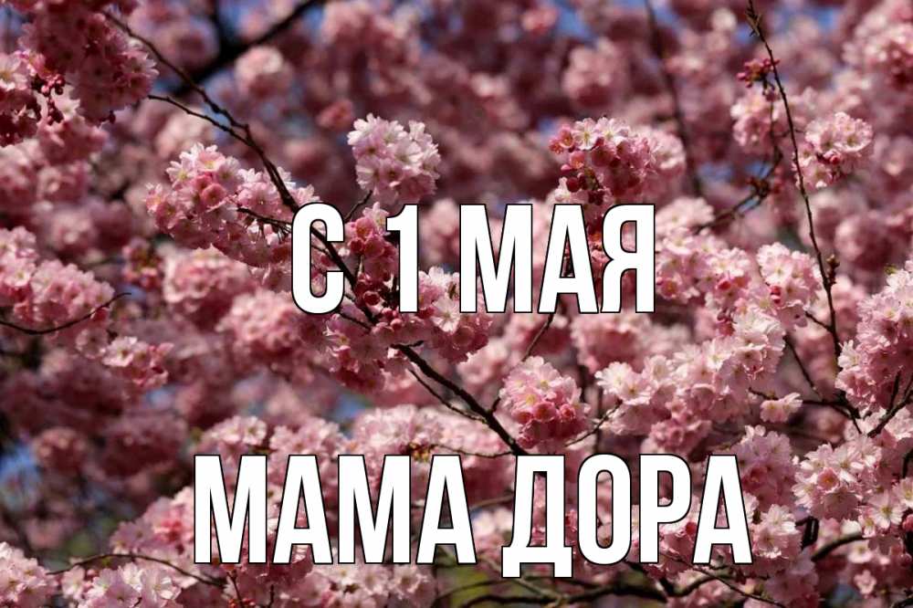 Открытка на каждый день с именем, Мама-Дора С 1 мая С 1 мая Прикольная открытка с пожеланием онлайн скачать бесплатно 
