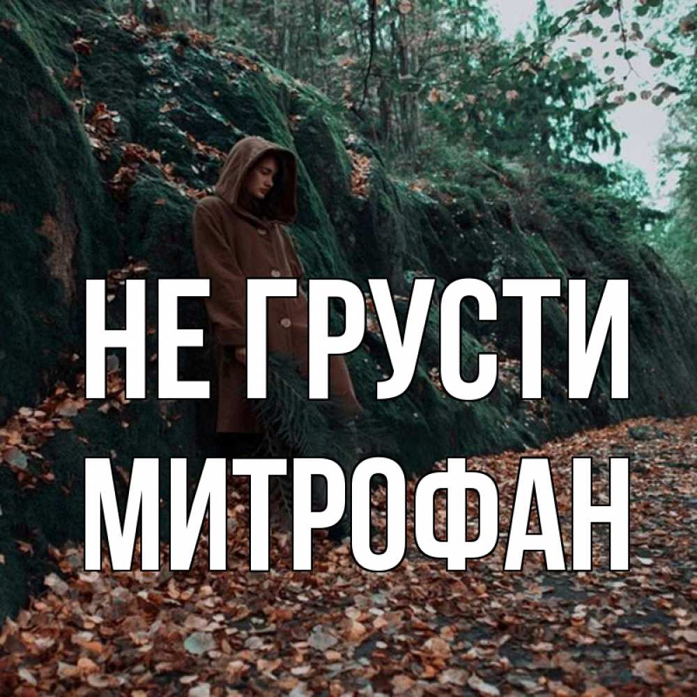 Открытка на каждый день с именем, Митрофан Не грусти осенний лес Прикольная открытка с пожеланием онлайн скачать бесплатно 