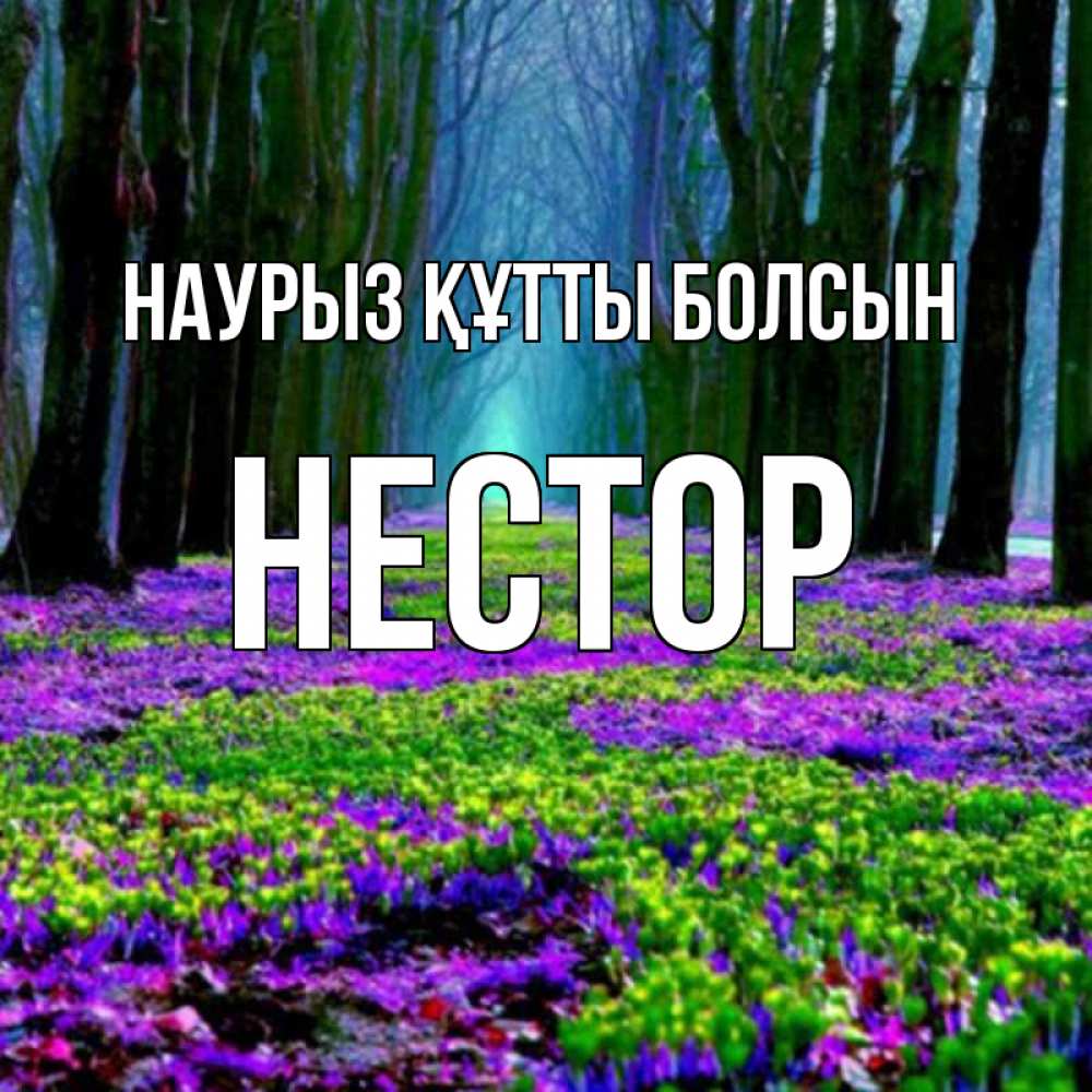 Открытка на каждый день с именем, Нестор Наурыз құтты болсын фиолетовые цветы в лесу 1 Прикольная открытка с пожеланием онлайн скачать бесплатно 