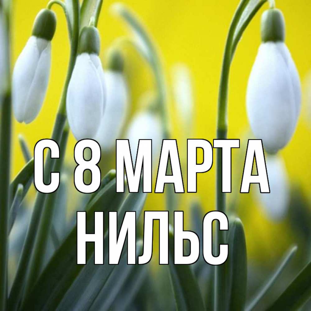 Открытка на каждый день с именем, Нильс С 8 МАРТА весенние цветы Прикольная открытка с пожеланием онлайн скачать бесплатно 