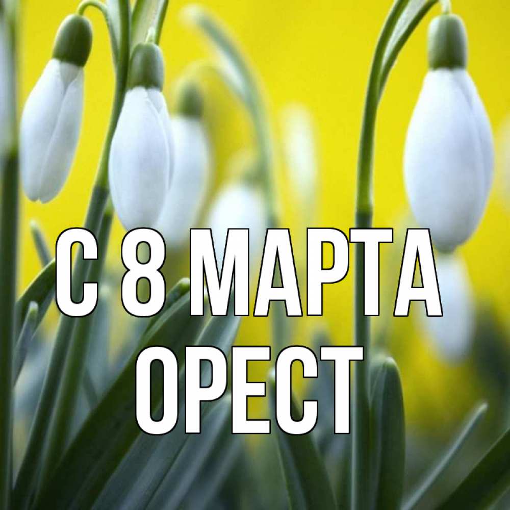 Открытка на каждый день с именем, Орест С 8 марта весенние цветы Прикольная открытка с пожеланием онлайн скачать бесплатно 