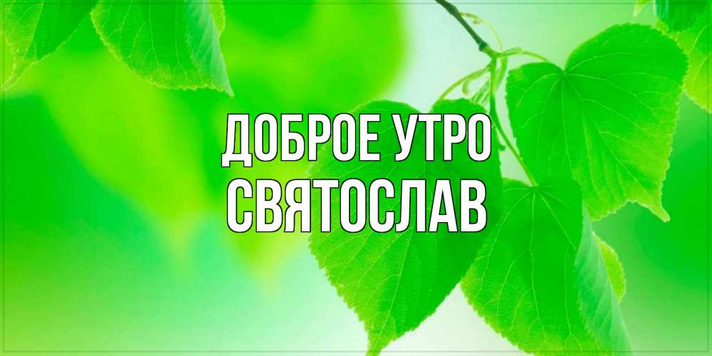 Открытка на каждый день с именем, Святослав Доброе утро доброе утро с березовыми листьями Прикольная открытка с пожеланием онлайн скачать бесплатно 