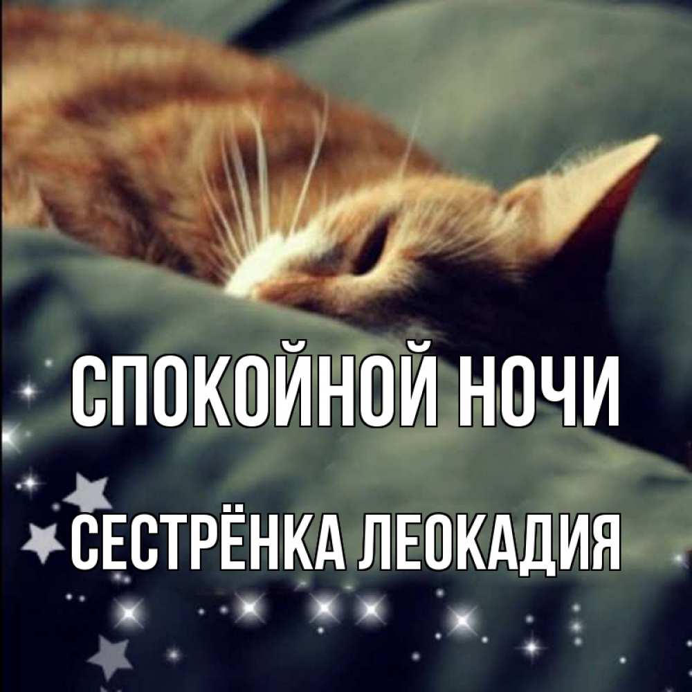 Открытка на каждый день с именем, Сестрёнка-Леокадия Спокойной ночи кроватка Прикольная открытка с пожеланием онлайн скачать бесплатно 