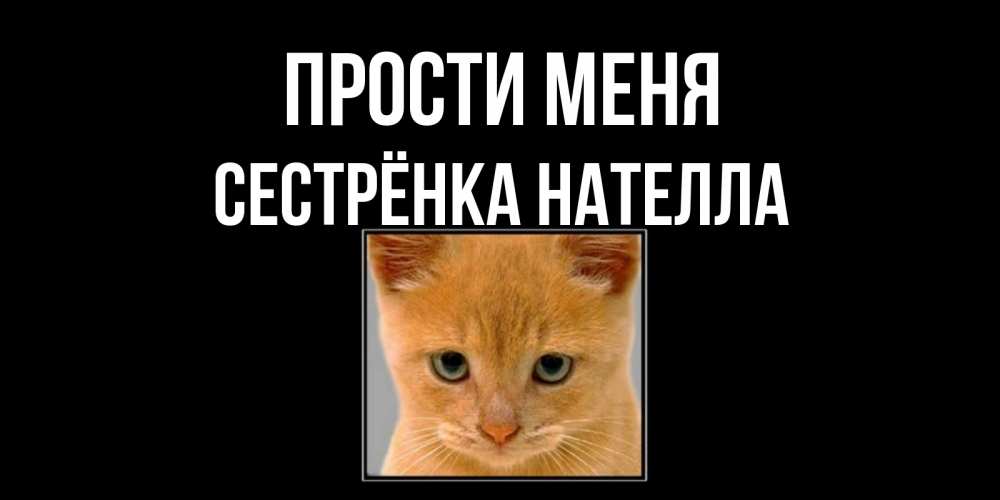 Открытка на каждый день с именем, Сестрёнка-Нателла Прости меня рыжий грустный кот просит прощения Прикольная открытка с пожеланием онлайн скачать бесплатно 