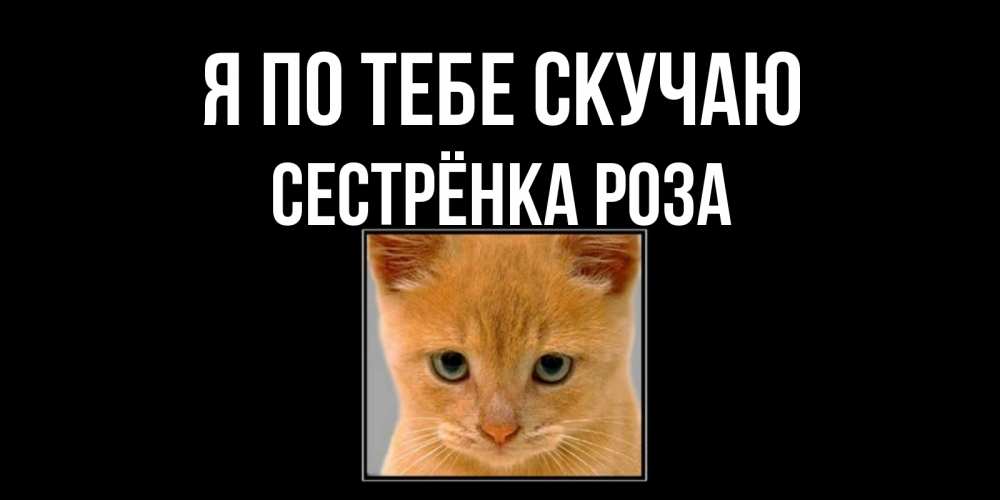 Открытка на каждый день с именем, Сестрёнка-Роза Я по тебе скучаю открытки рыжий котенок скучает по тебе Прикольная открытка с пожеланием онлайн скачать бесплатно 