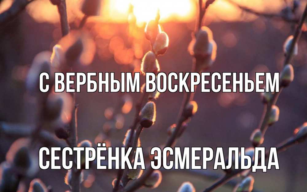 Открытка на каждый день с именем, Сестрёнка-Эсмеральда С вербным воскресеньем верба Прикольная открытка с пожеланием онлайн скачать бесплатно 