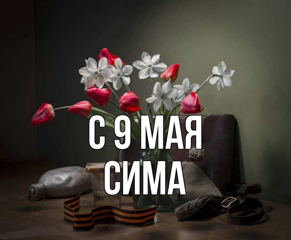 Открытка на каждый день с именем, Сима С 9 мая 9 мая Прикольная открытка с пожеланием онлайн скачать бесплатно 