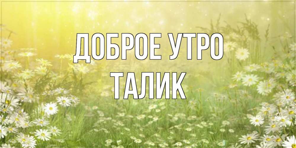 Открытка на каждый день с именем, Талик Доброе утро доброе утро Прикольная открытка с пожеланием онлайн скачать бесплатно 