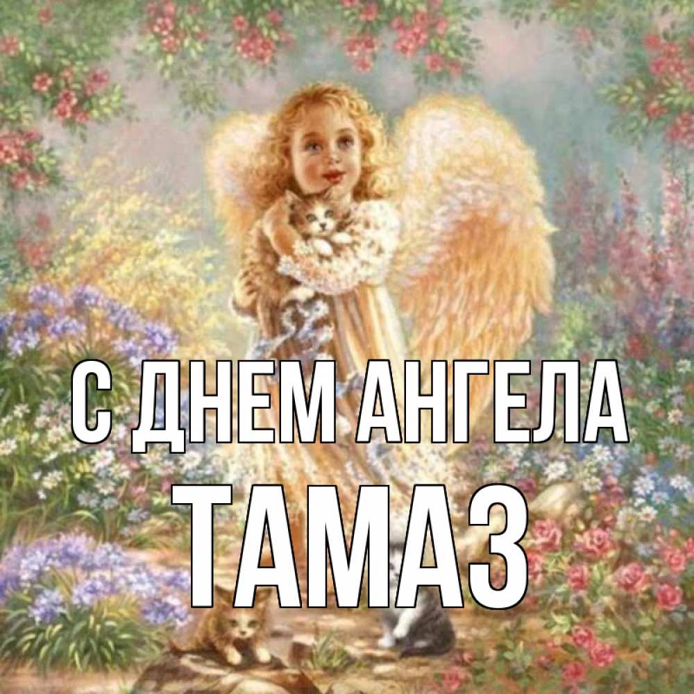 Открытка на каждый день с именем, Тамаз С днем ангела держит котенка Прикольная открытка с пожеланием онлайн скачать бесплатно 