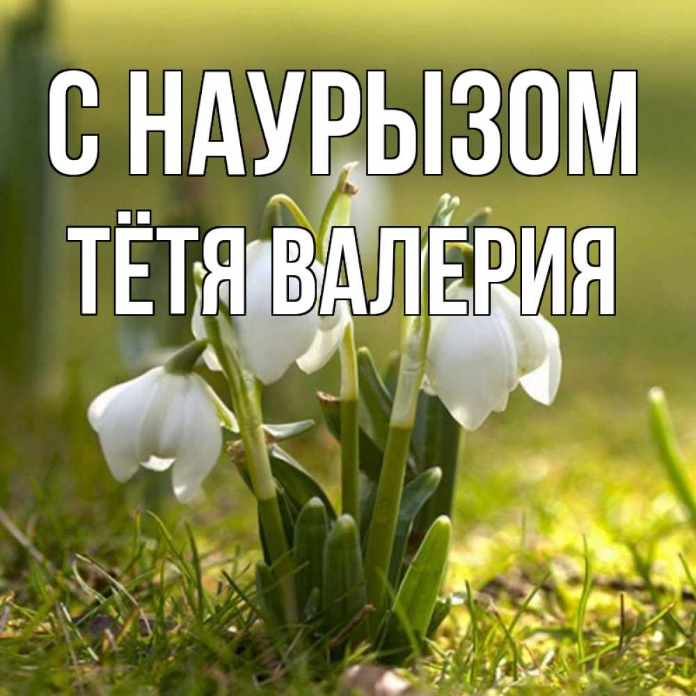Открытка на каждый день с именем, Тётя-Валерия С наурызом ранние цветы 2 Прикольная открытка с пожеланием онлайн скачать бесплатно 