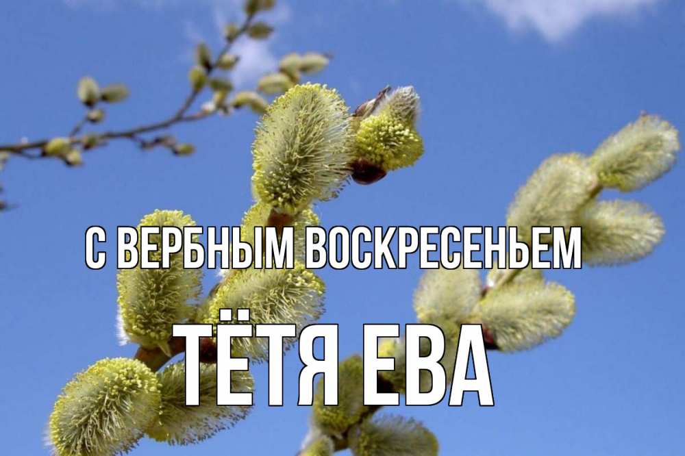 Открытка на каждый день с именем, Тётя-Ева С вербным воскресеньем верба Прикольная открытка с пожеланием онлайн скачать бесплатно 