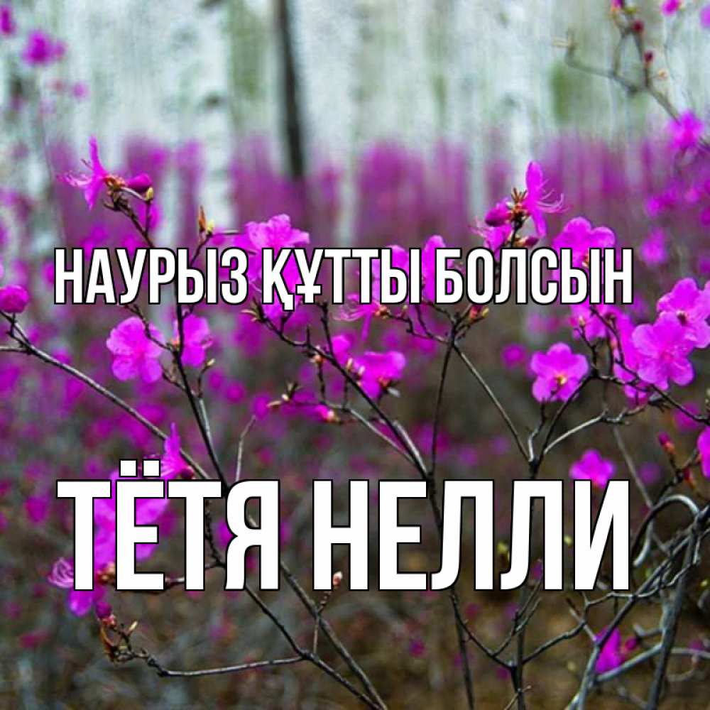 Открытка на каждый день с именем, Тётя-Нелли Наурыз құтты болсын дикие цветы Прикольная открытка с пожеланием онлайн скачать бесплатно 