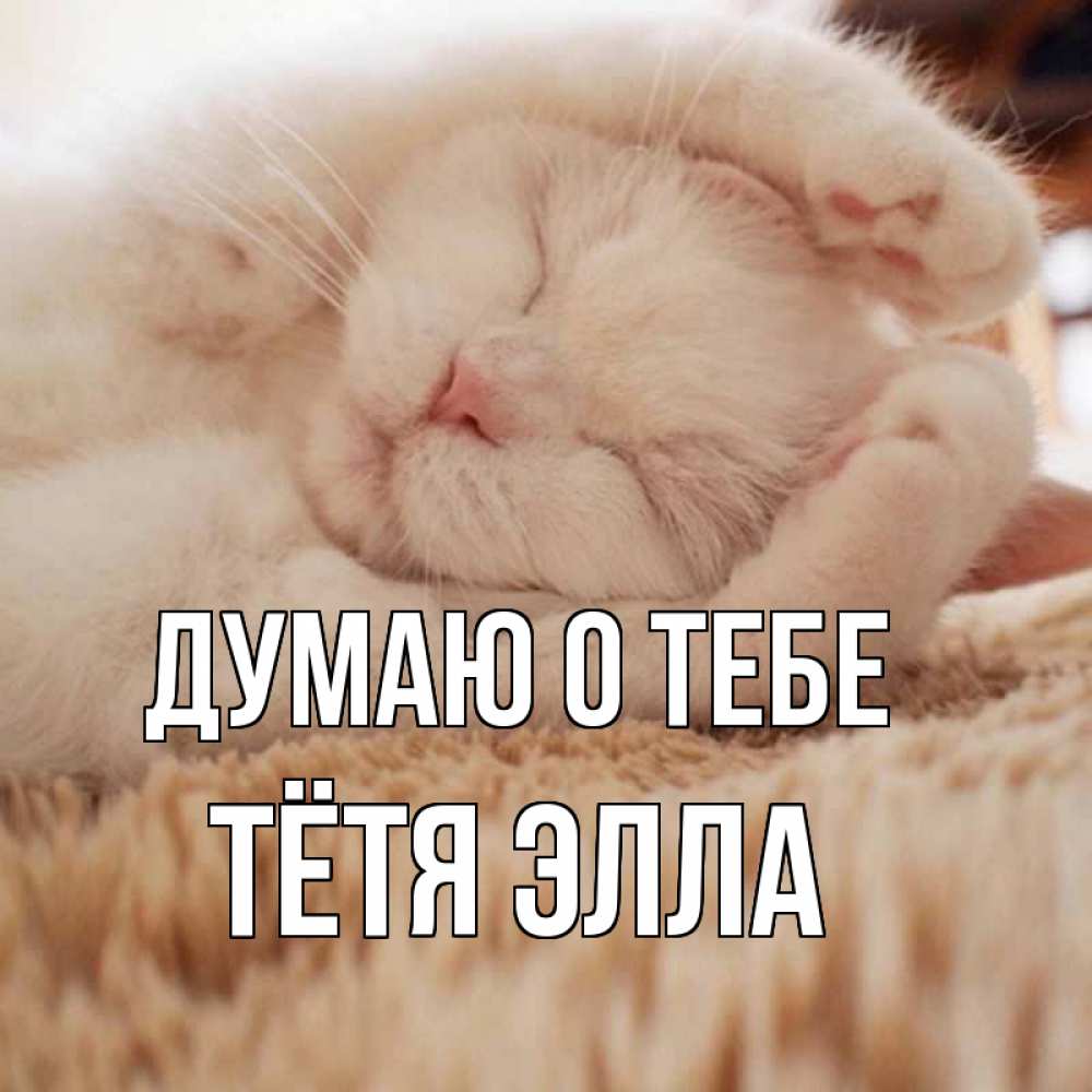 Открытка на каждый день с именем, Тётя-Элла Думаю о тебе для любимой девушки милота Прикольная открытка с пожеланием онлайн скачать бесплатно 