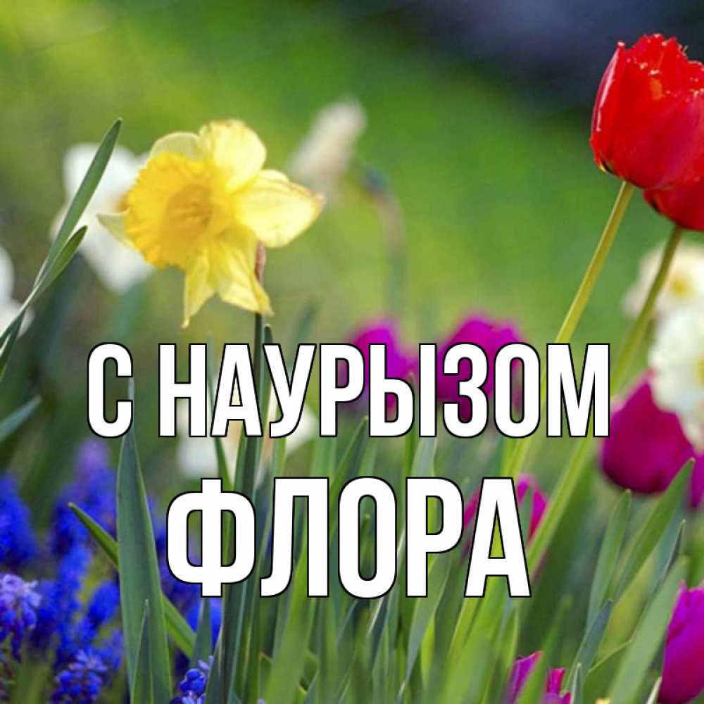 Открытка на каждый день с именем, Флора С наурызом праздник весны наурыз 3 Прикольная открытка с пожеланием онлайн скачать бесплатно 