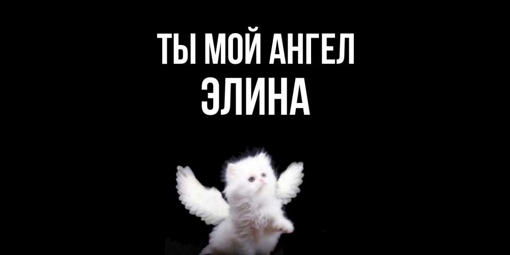Открытка на каждый день с именем, Элина Ты мой ангел Кот ангел Прикольная открытка с пожеланием онлайн скачать бесплатно 