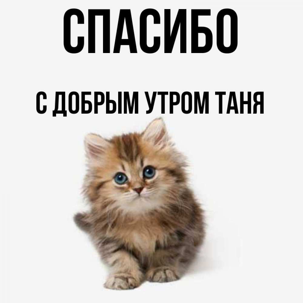 Таня ты супер картинки