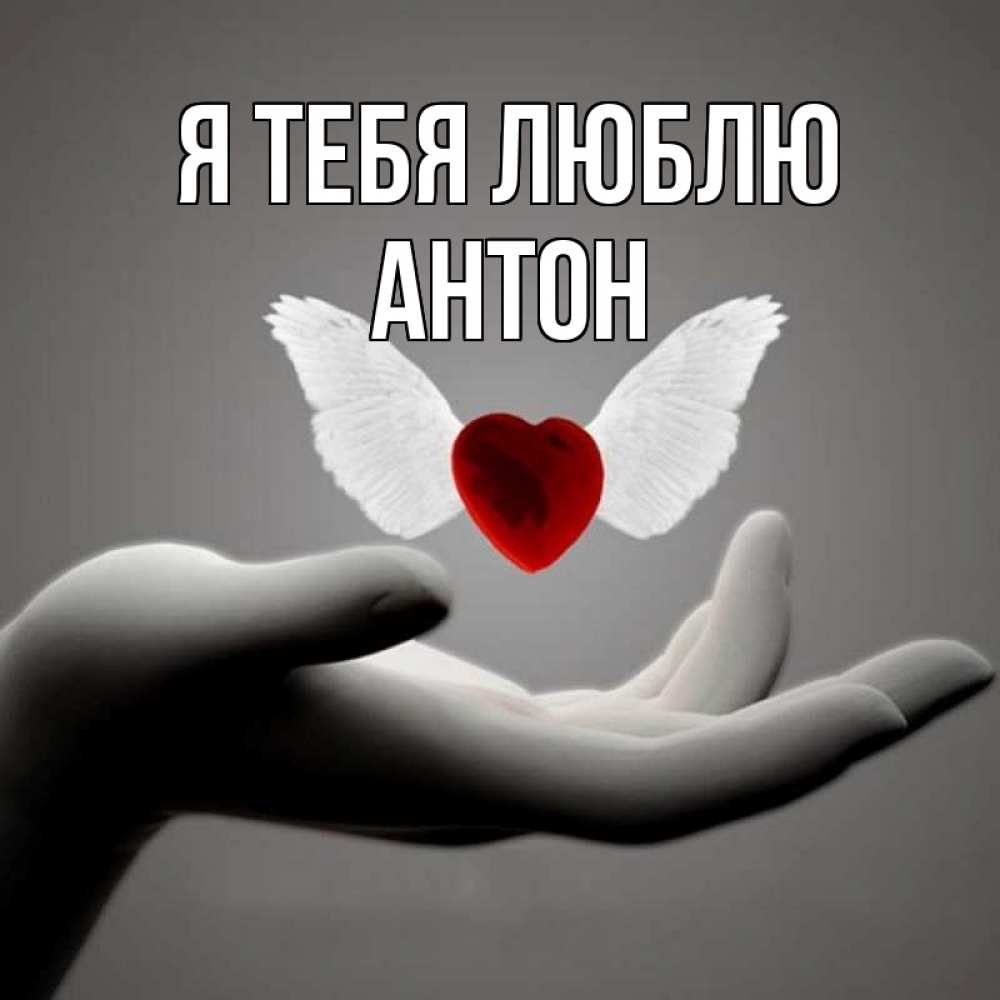 Открытка на каждый день с именем, Антон Я тебя люблю сердце Прикольная открытка с пожеланием онлайн скачать бесплатно 