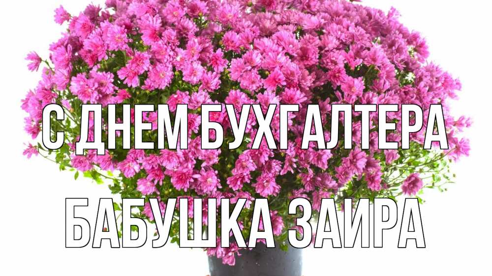 Открытка на каждый день с именем, Бабушка-Заира С днем бухгалтера с днем бухгалтера Прикольная открытка с пожеланием онлайн скачать бесплатно 