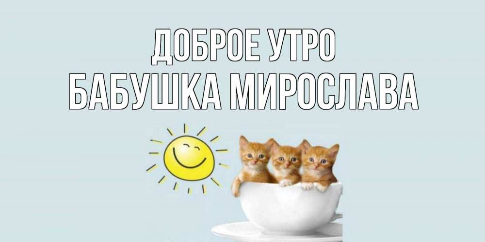 Открытка на каждый день с именем, Бабушка-Мирослава Доброе утро котята Прикольная открытка с пожеланием онлайн скачать бесплатно 