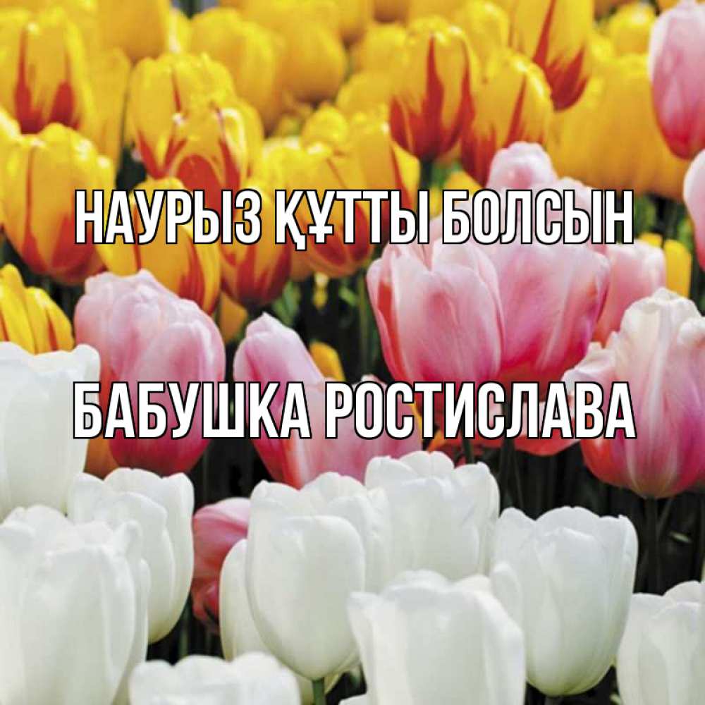 Открытка на каждый день с именем, Бабушка-Ростислава Наурыз құтты болсын разноцветные цветы Прикольная открытка с пожеланием онлайн скачать бесплатно 