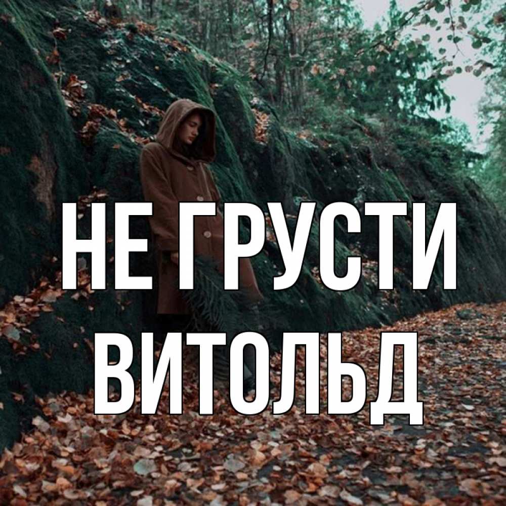 Открытка на каждый день с именем, Витольд Не грусти осенний лес Прикольная открытка с пожеланием онлайн скачать бесплатно 